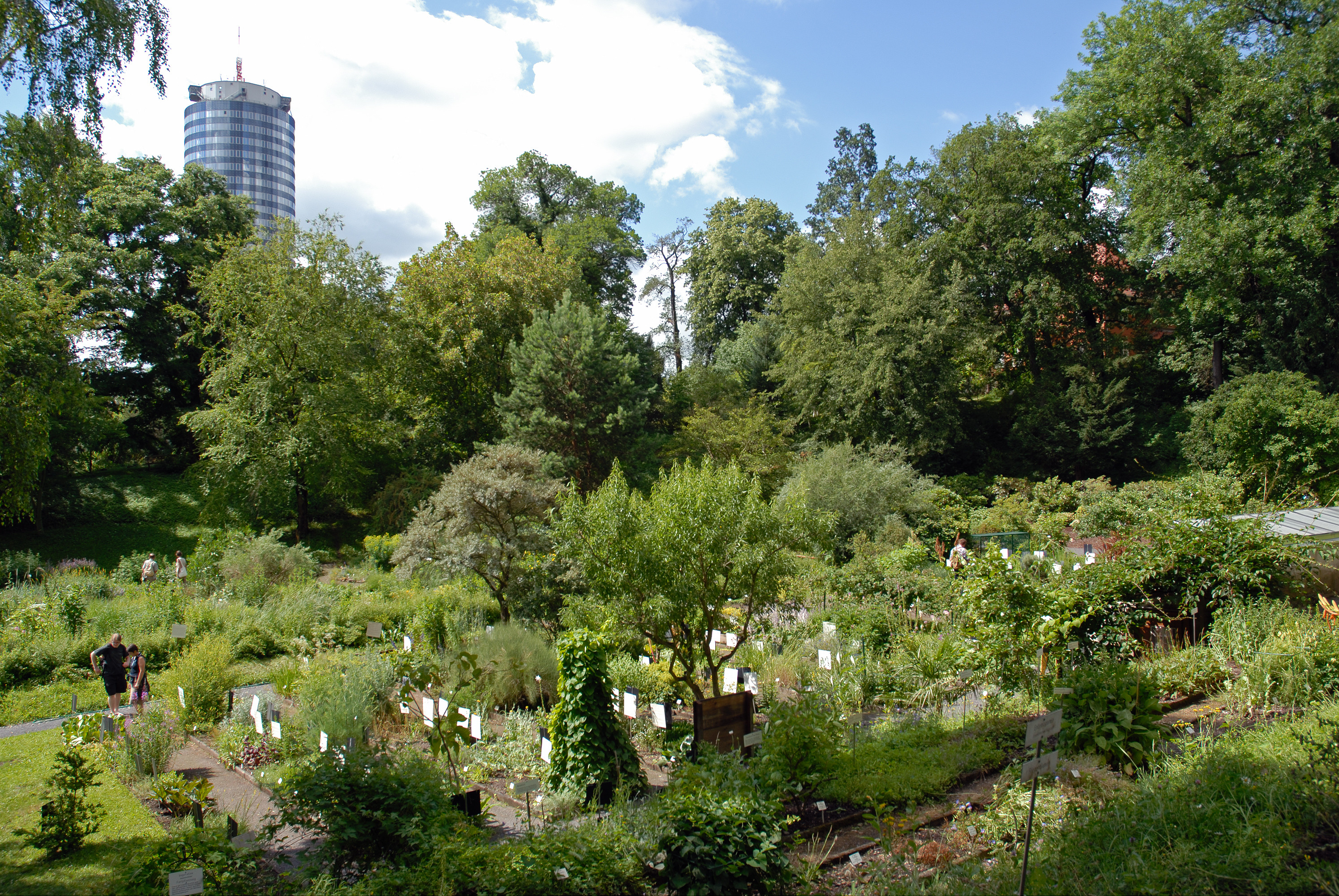 Botanischer Garten Jena
 Botanischer Garten Jena