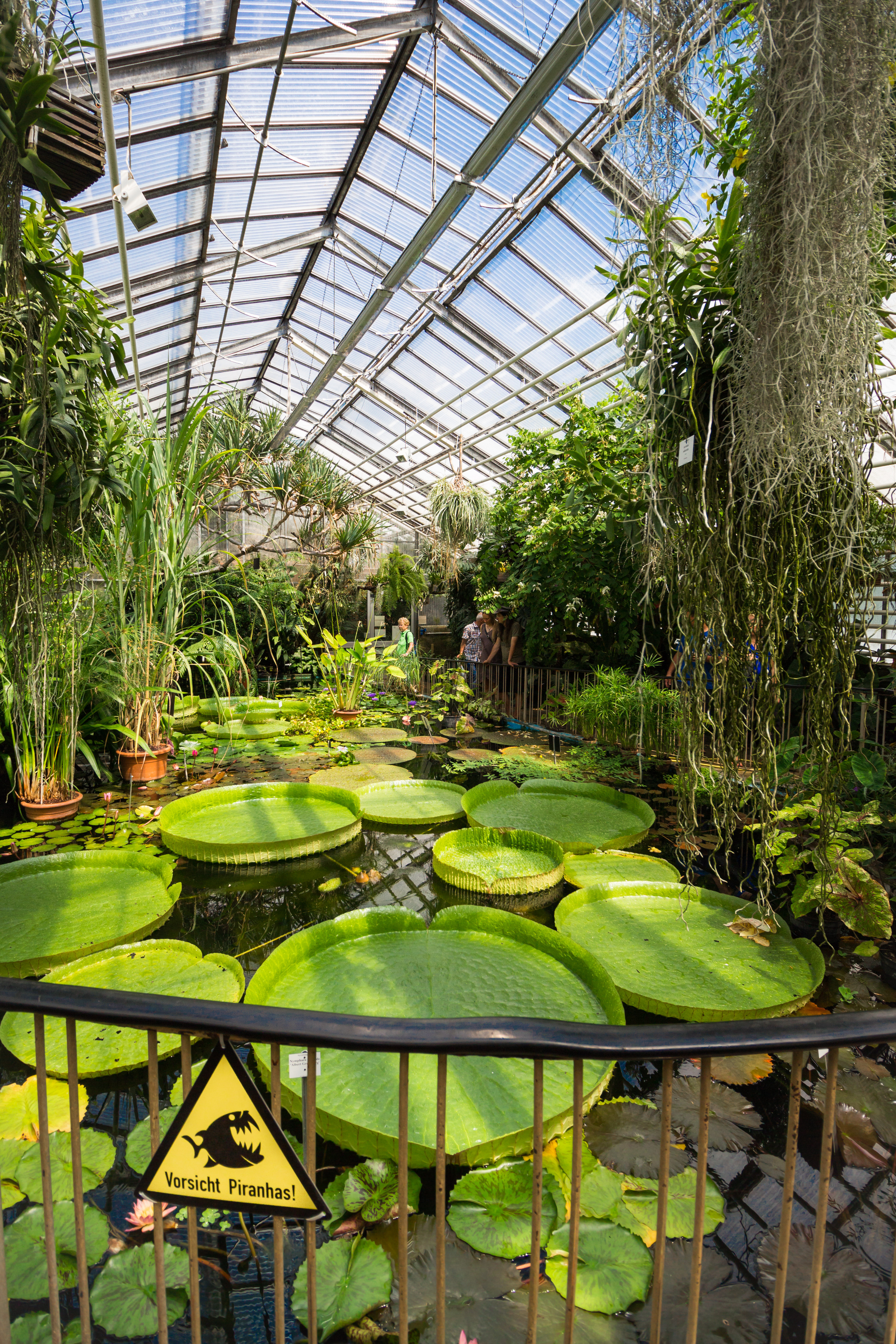 Botanischer Garten Jena
 File Viktoriahaus Botanischer Garten Jena Wikimedia