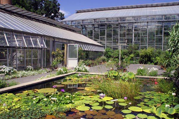 Botanischer Garten Jena
 Der Botanische Garten in Jena