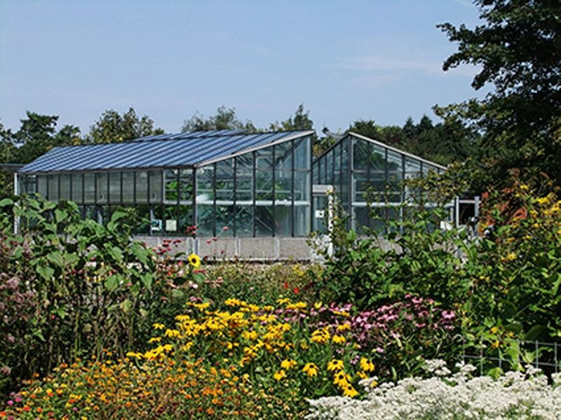 Botanischer Garten Kiel
 Botanischer Garten Ausflugstipps