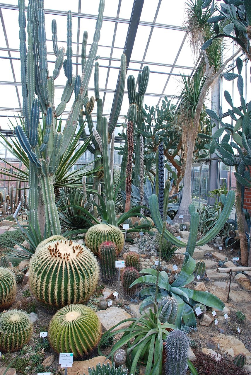 Botanischer Garten Kiel
 Botanischer Garten Kiel Aktuelle 2019 Lohnt es sich