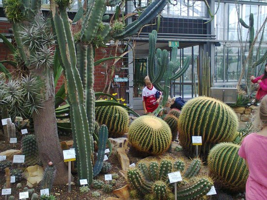 Botanischer Garten Kiel
 Botanischer Garten Kiel