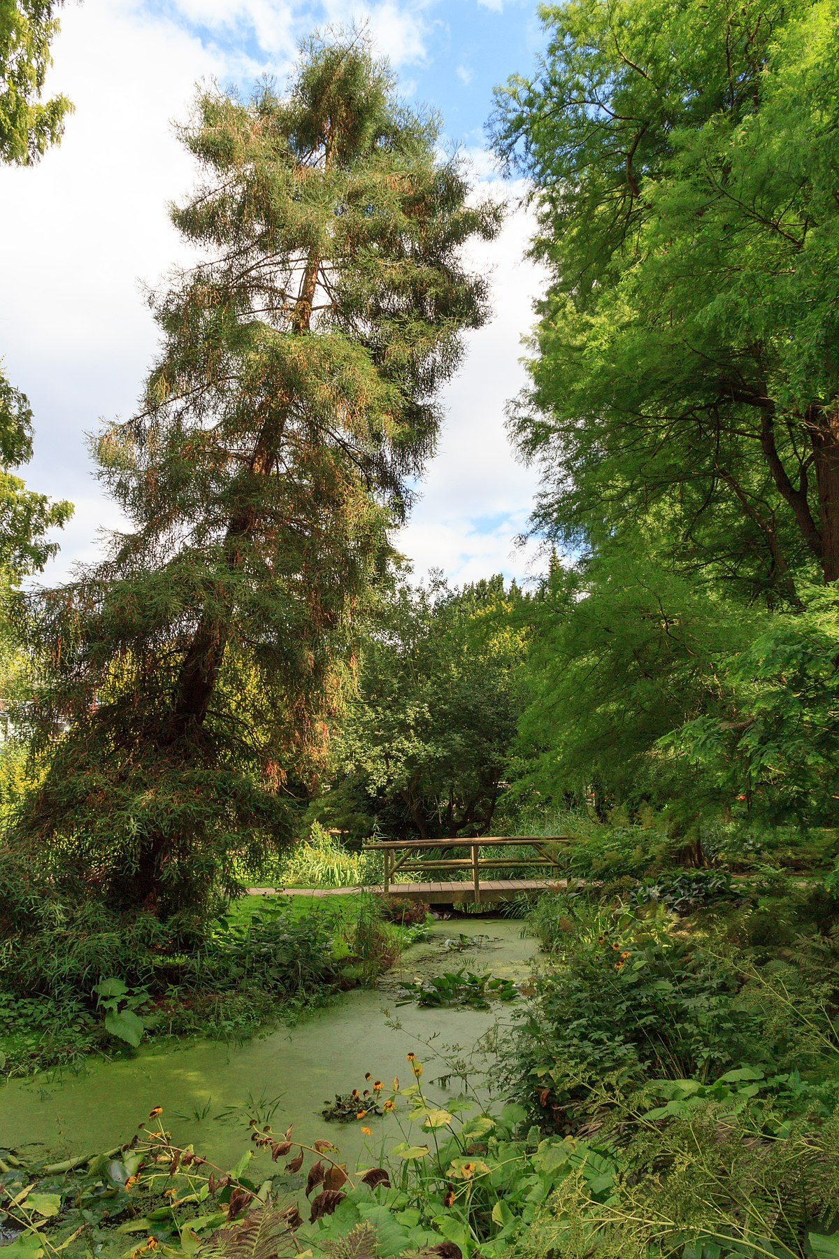 Botanischer Garten Kiel
 Alter Botanischer Garten Kiel –