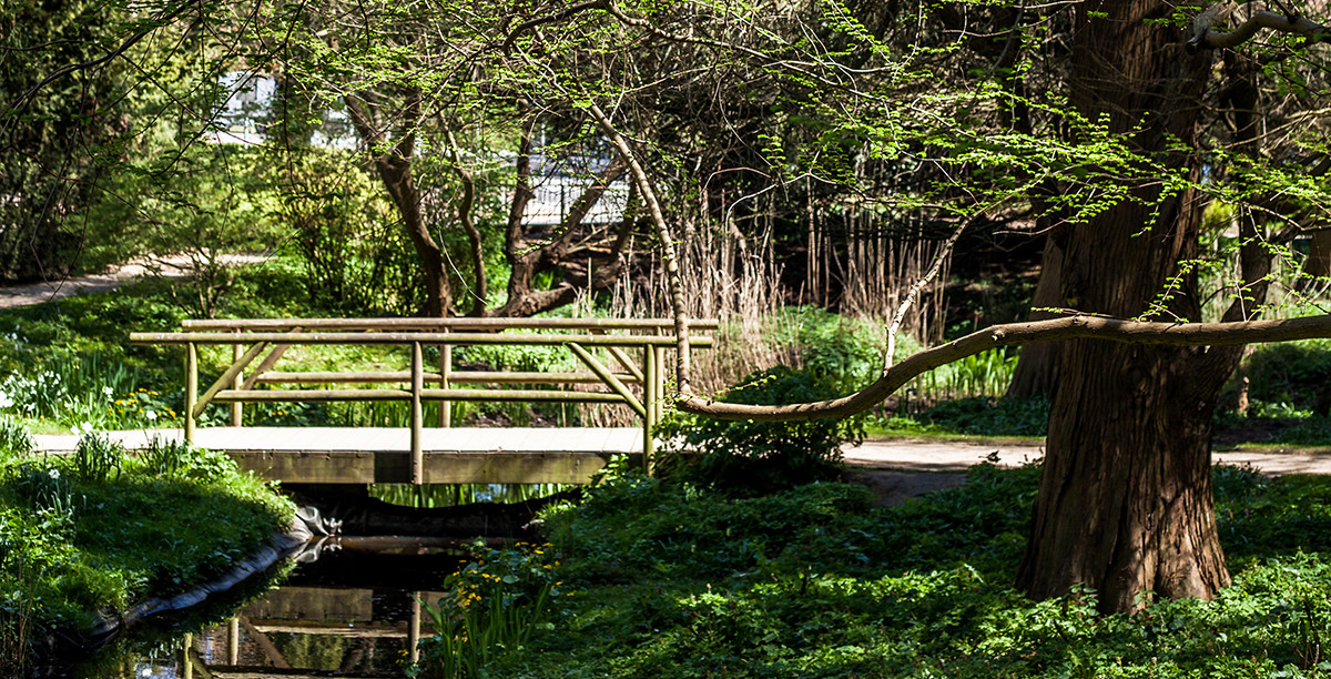 Botanischer Garten Kiel
 Alter Botanischer Garten Kiel 3b Förde Fräulein