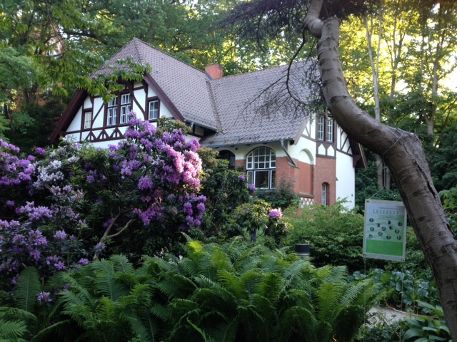 Botanischer Garten Kiel
 Alter Botanischer Garten Kiel