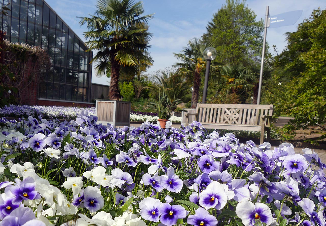 Botanischer Garten Kiel
 Botanischer Garten Kiel Nordtipps