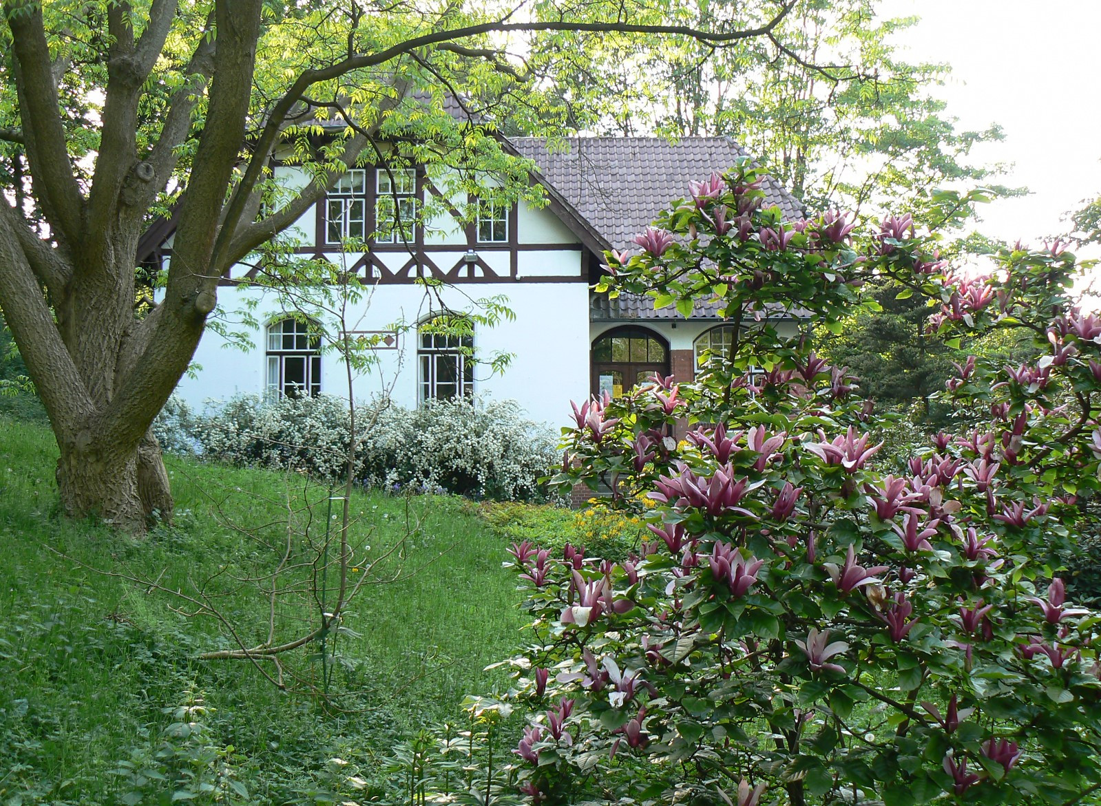 Botanischer Garten Kiel
 Datei Alter Botanischer Garten Kiel Literaturhaus