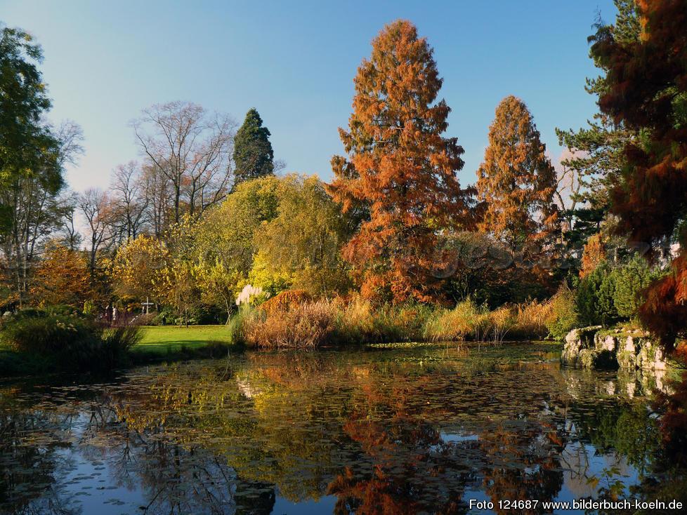 Botanischer Garten Köln
 Bilderbuch Köln Botanischer Garten