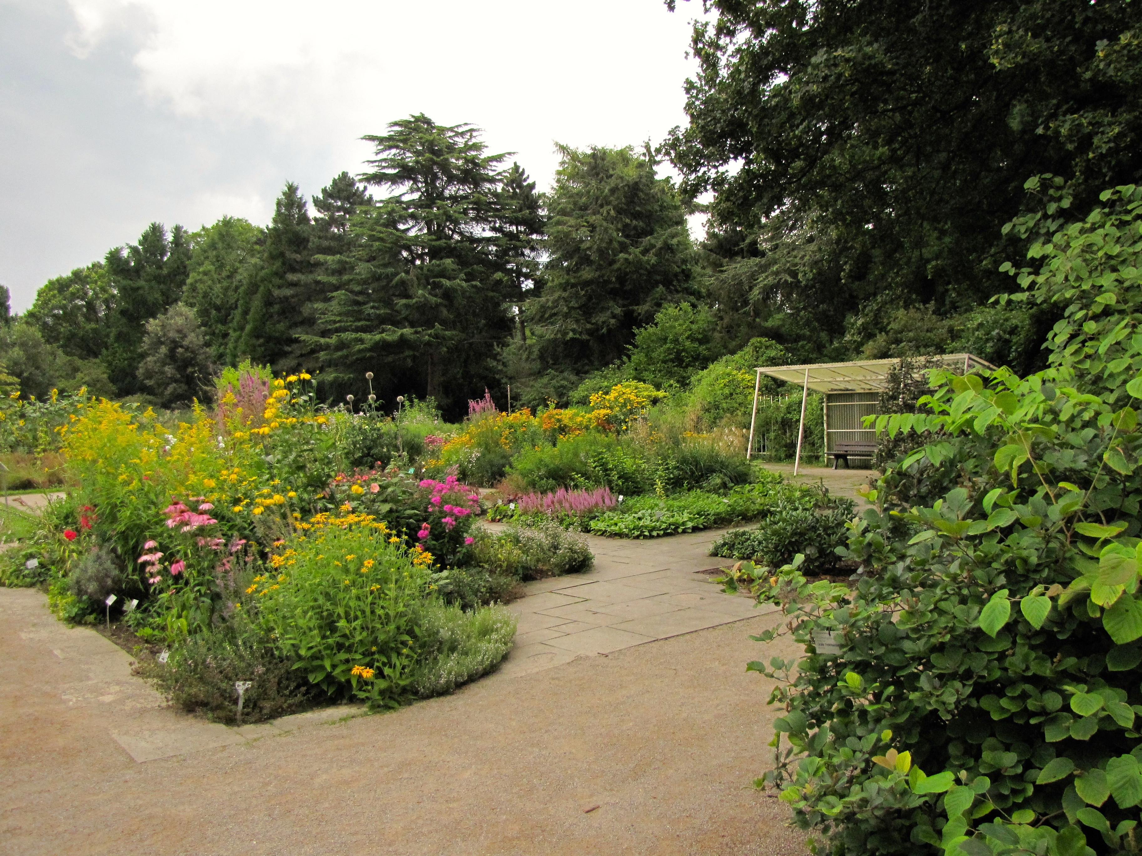 Botanischer Garten Köln
 Datei Flora Koeln Botanischer Garten 8322 JPG –