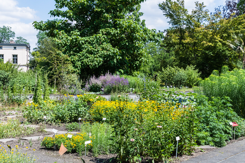 Botanischer Garten Leipzig
 Botanischer Garten der Universität Leipzig › Museumsnacht