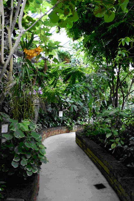 Botanischer Garten Leipzig
 Der botanische Garten in Leipzig