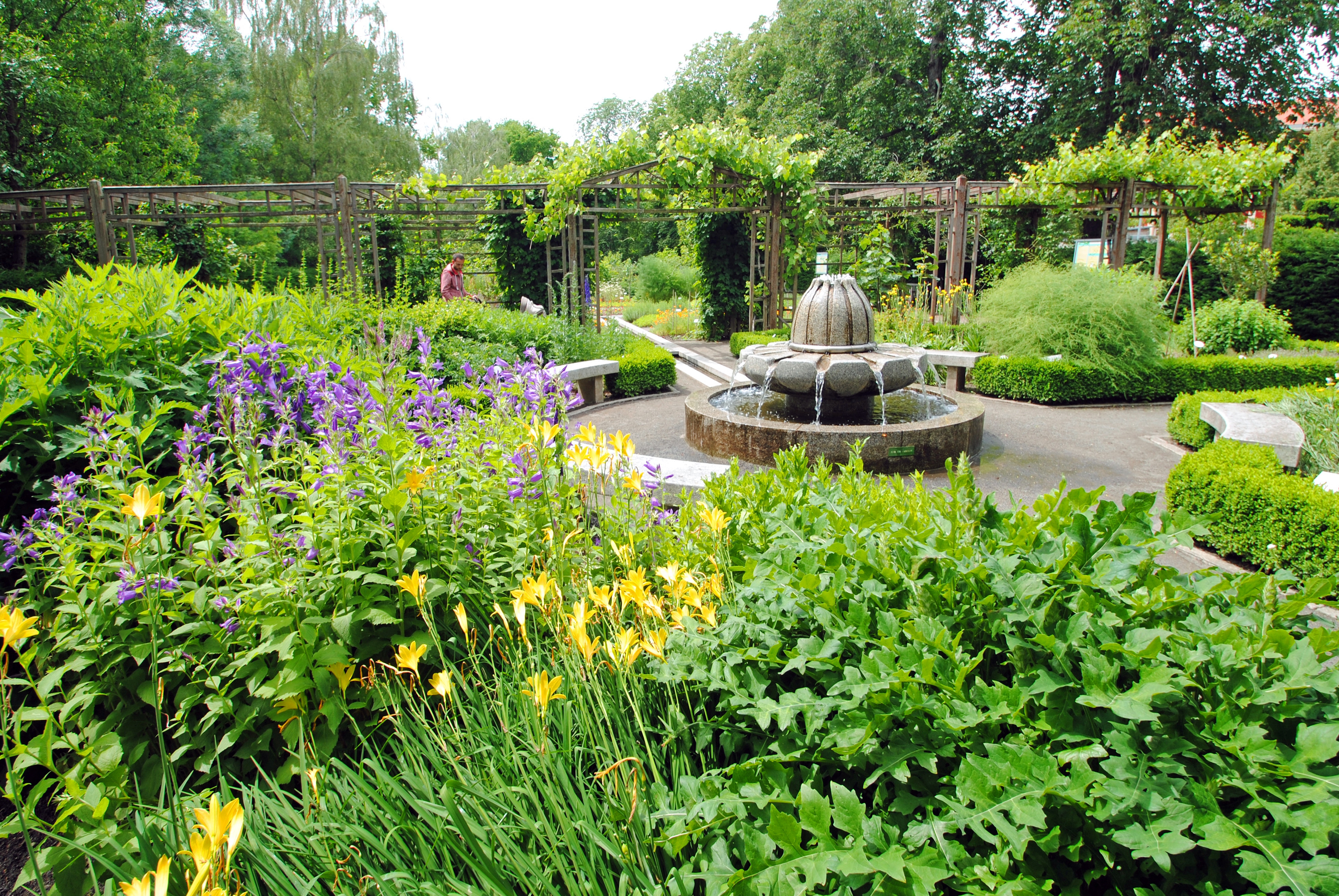 Botanischer Garten Leipzig
 Botanischer Garten