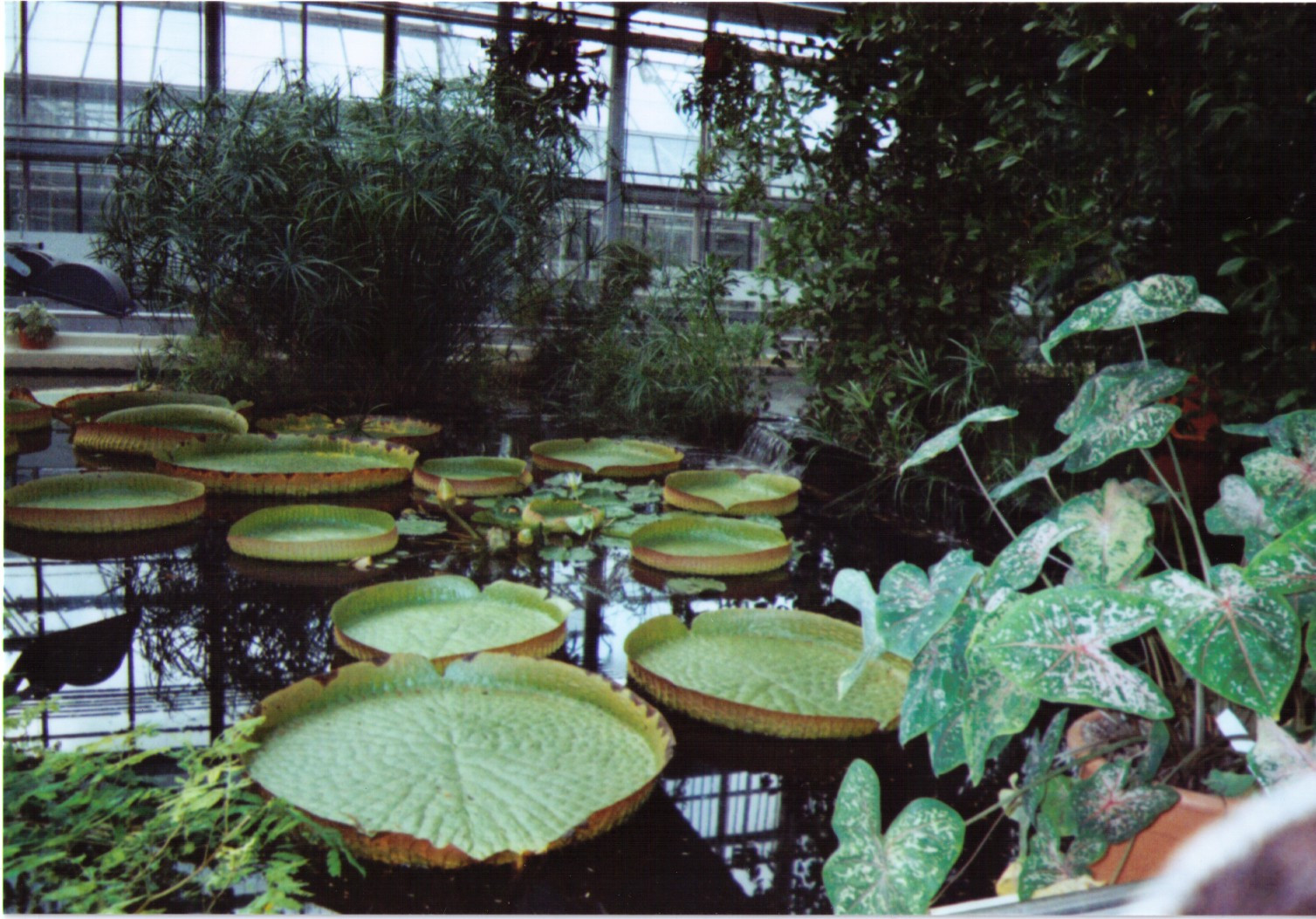 Botanischer Garten Leipzig
 Ausflugsziele Archive Hotel Leipzig Gutshof Zwochau