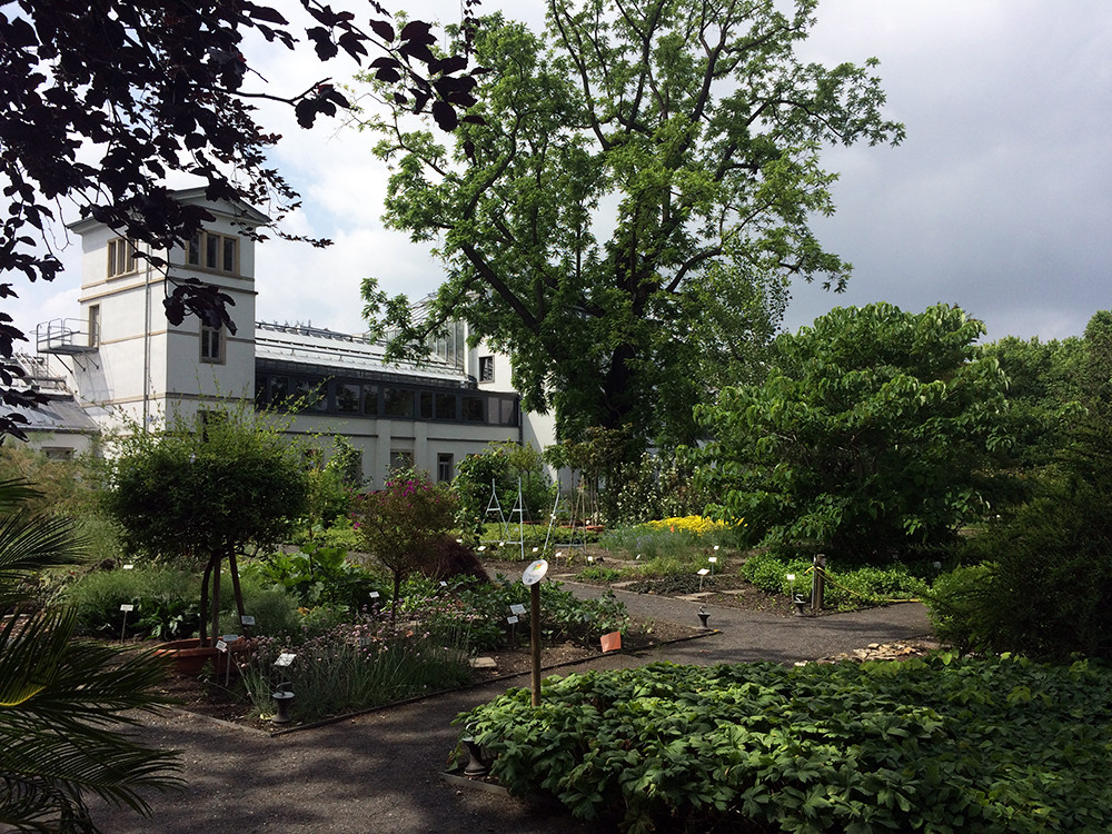 Botanischer Garten Leipzig
 Botanischer Garten & Schmetterlingshaus Leipzig