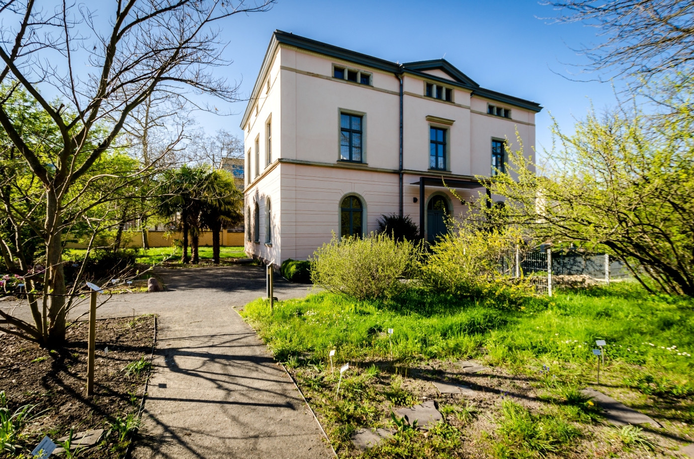 Botanischer Garten Leipzig
 Botanischer Garten