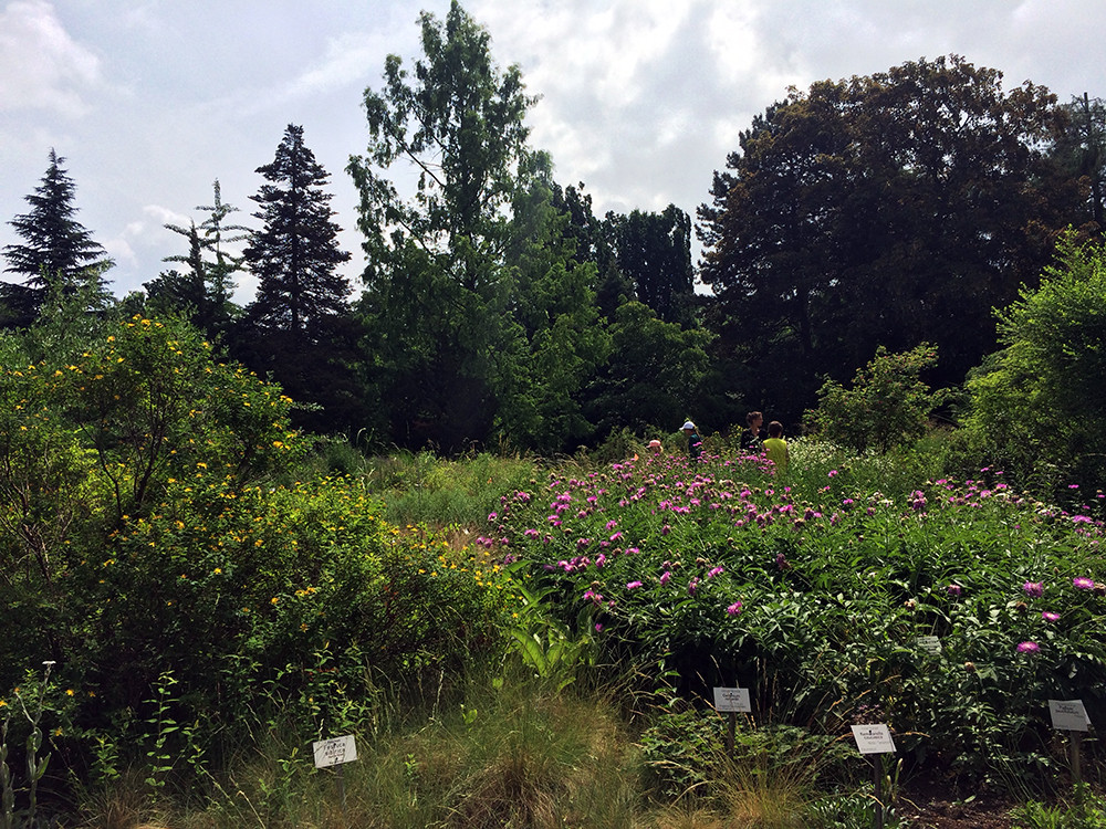 Botanischer Garten Leipzig
 Botanischer Garten & Schmetterlingshaus Leipzig