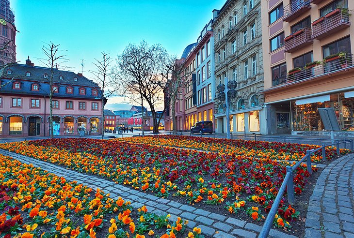 Botanischer Garten Mainz
 10 Top Rated Tourist Attractions in Mainz