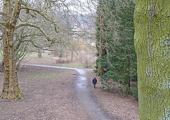 Botanischer Garten Marburg
 das Marburger line Magazin Botanischer Garten Marburg