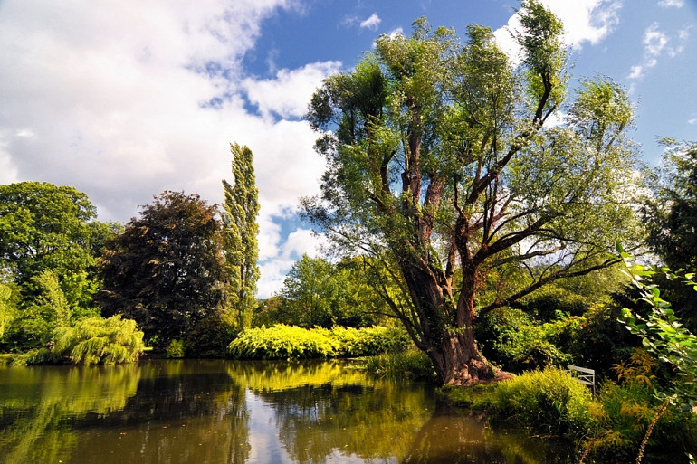 Botanischer Garten Marburg
 Alter Botanischer Garten