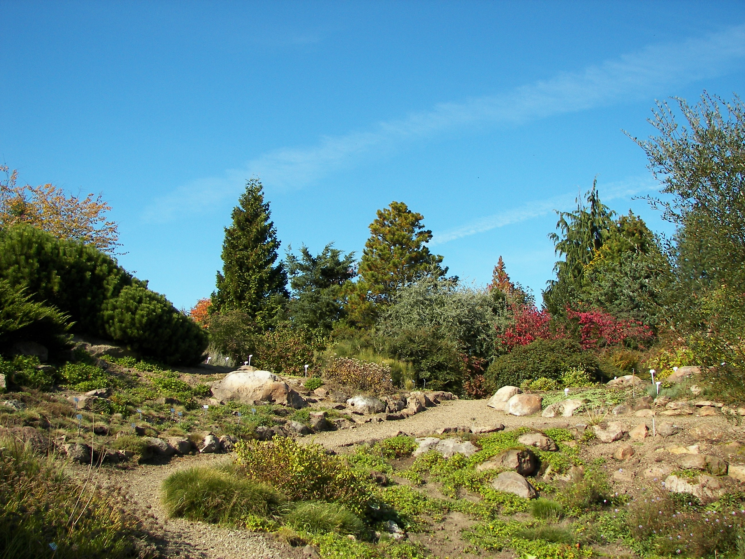 Botanischer Garten Marburg
 Botanischer Garten Marburg