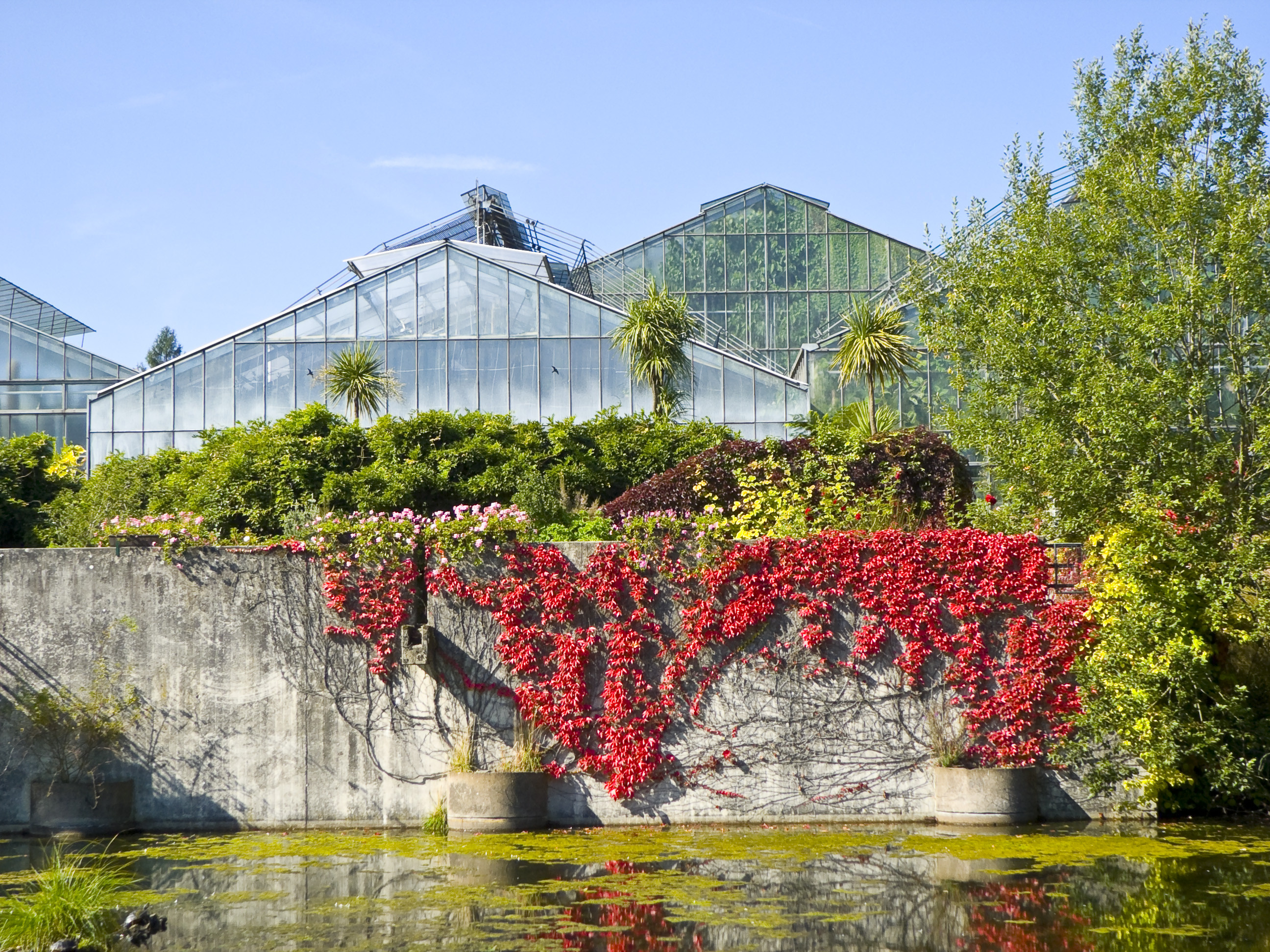 Botanischer Garten Marburg
 Botanischer Garten Marburg