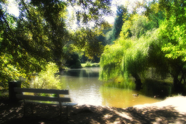 Botanischer Garten Marburg
 Bild 12 aus Beitrag 200 Jahre Alter Botanischer Garten