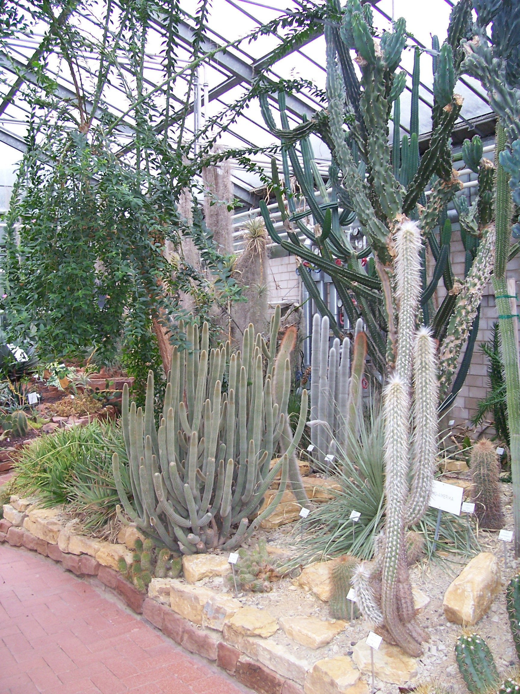 Botanischer Garten Marburg
 Botanischer Garten Marburg