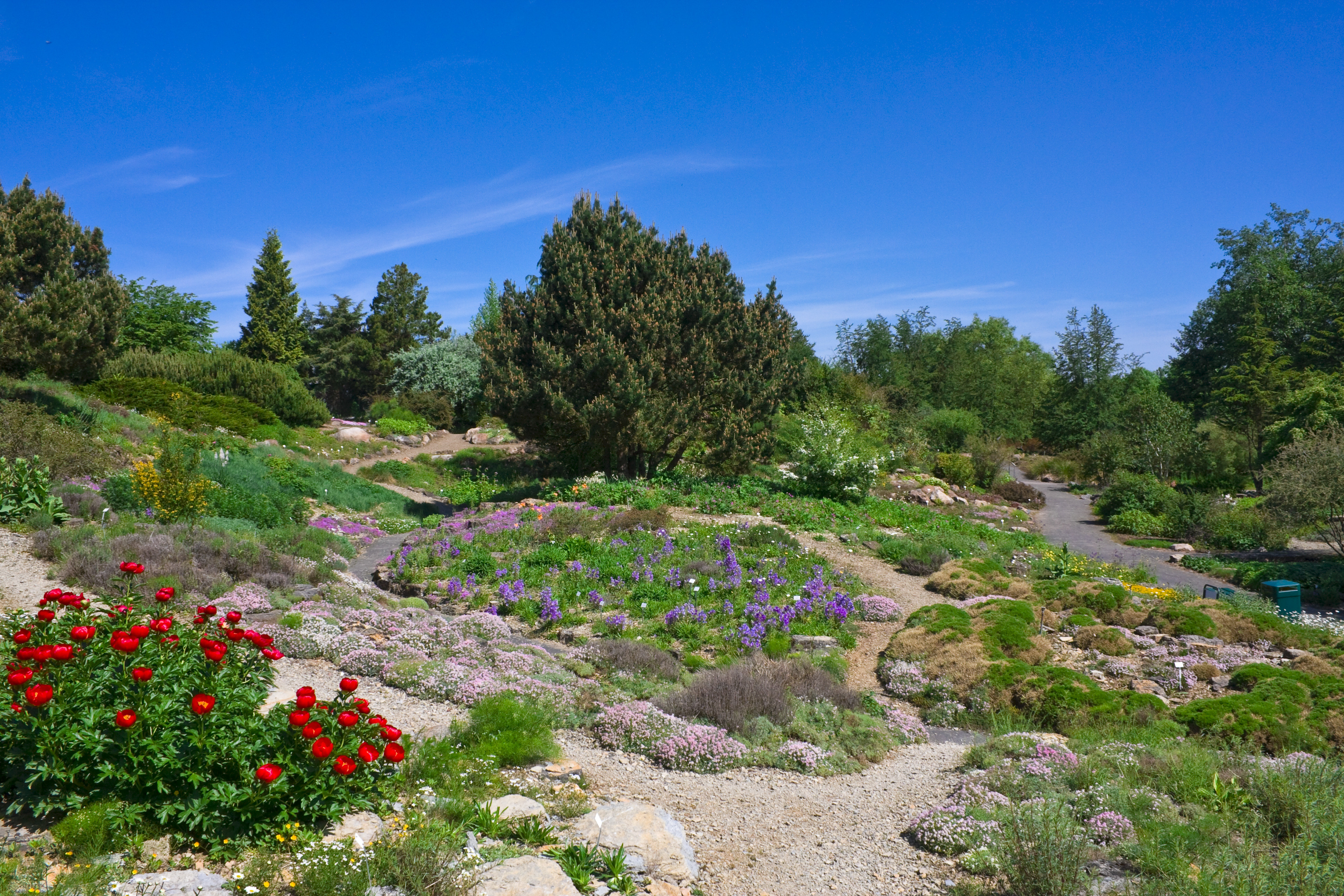 Botanischer Garten Marburg
 Botanischer Garten Marburg