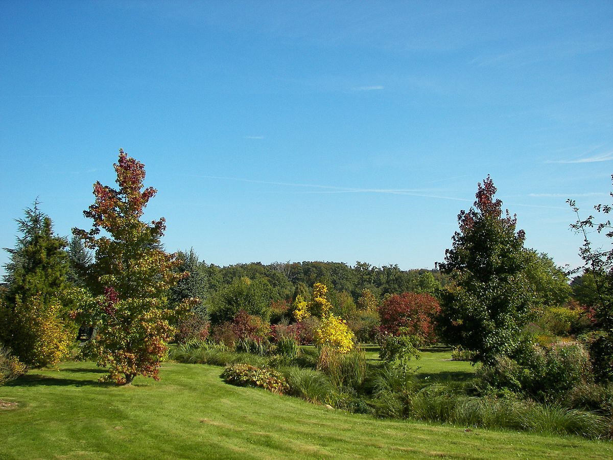 Botanischer Garten Marburg
 Botanischer Garten Marburg Wikimedia mons