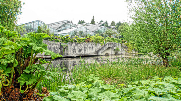 Botanischer Garten Marburg
 Neuer Botanischer Garten Marburg