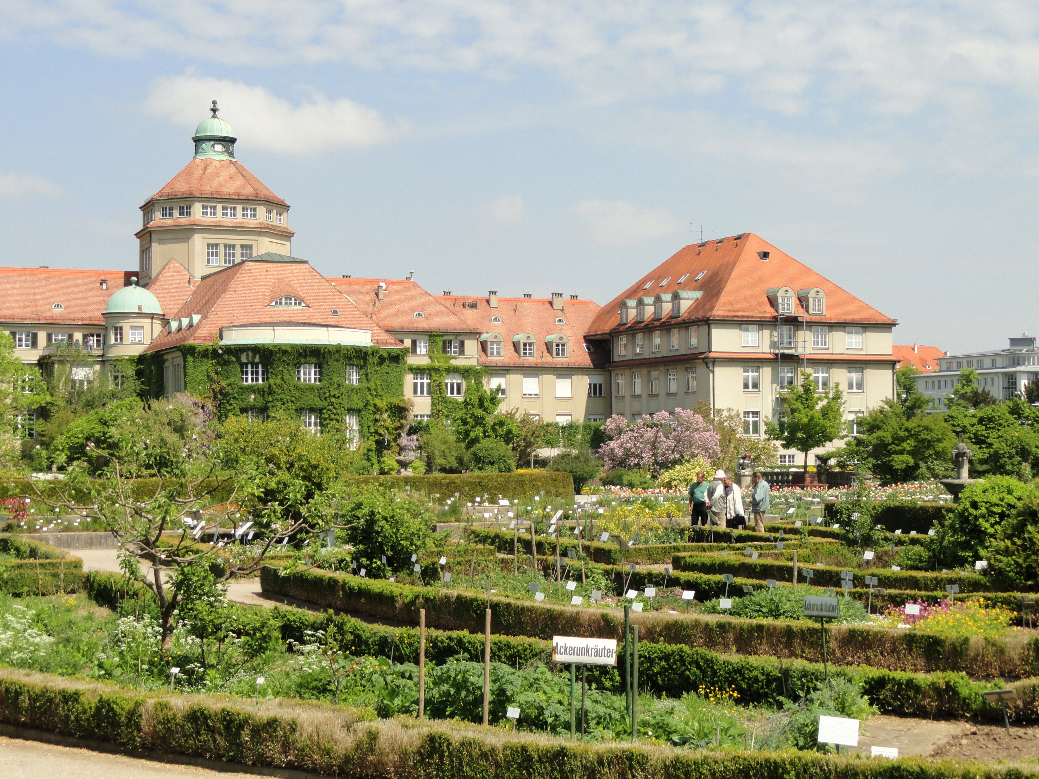 Botanischer Garten München
 File Botanischer Garten München Nymphenburg DSC JPG