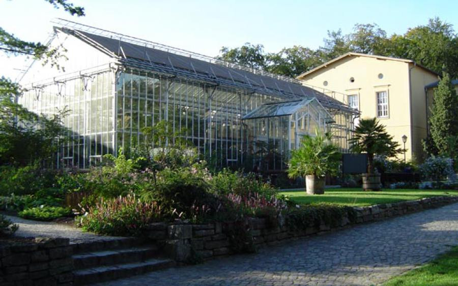 20 Besten Botanischer Garten Potsdam - Beste Wohnkultur ...