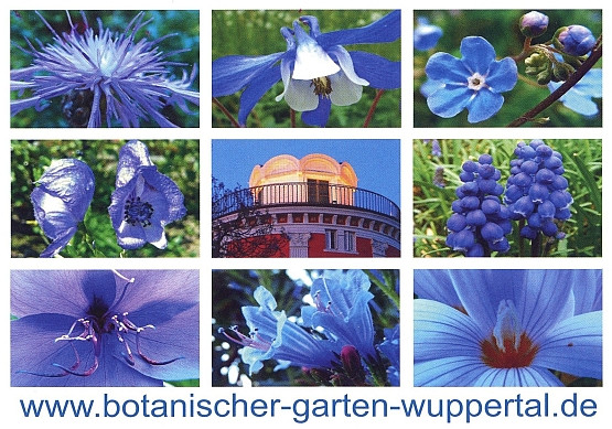 Botanischer Garten Wuppertal
 Aktuell