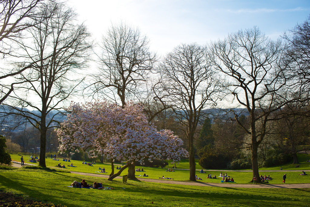 Botanischer Garten Wuppertal
 15 Best Things to Do in Wuppertal Germany The Crazy