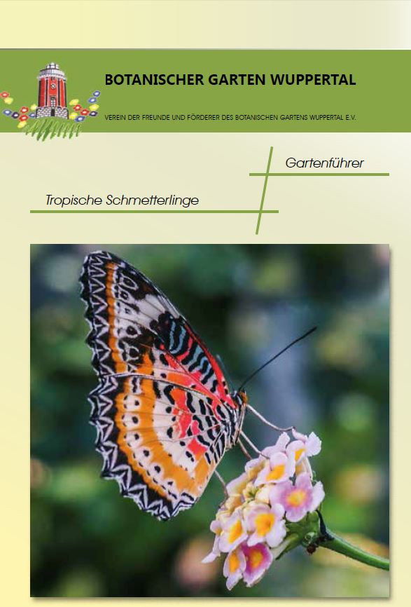Botanischer Garten Wuppertal
 Tropische Schmetterlinge