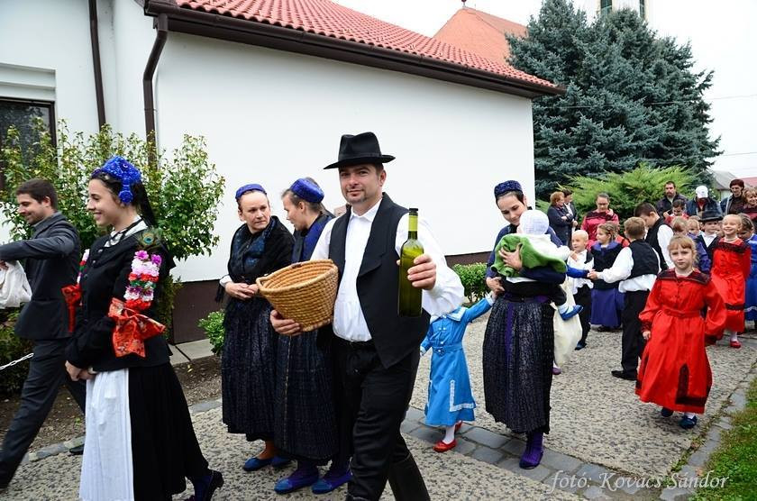 Bräuche Hochzeit
 Ein schwäbische Hochzeit heute in Harta Ungarn