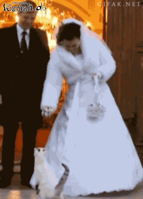 Brautstrauß Fangen
 Brautstrauß fangen Bild lustich