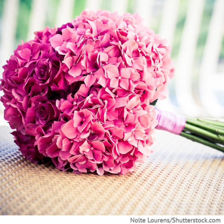 Brautstrauß Hortensien Und Rosen
 Brautstrauss Kugelform mit pinken Rosen und rosa