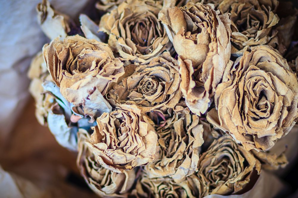 Brautstrauß Konservieren
 Dried wedding roses flower bouquet background Close up