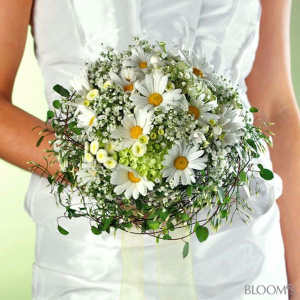 Brautstrauß Margeriten
 Die besten 25 Brautstrauß margeriten Ideen auf Pinterest