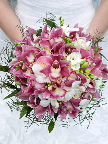 Brautstrauß Online Bestellen
 Brautstrauß aus Orchideen Poster online bestellen