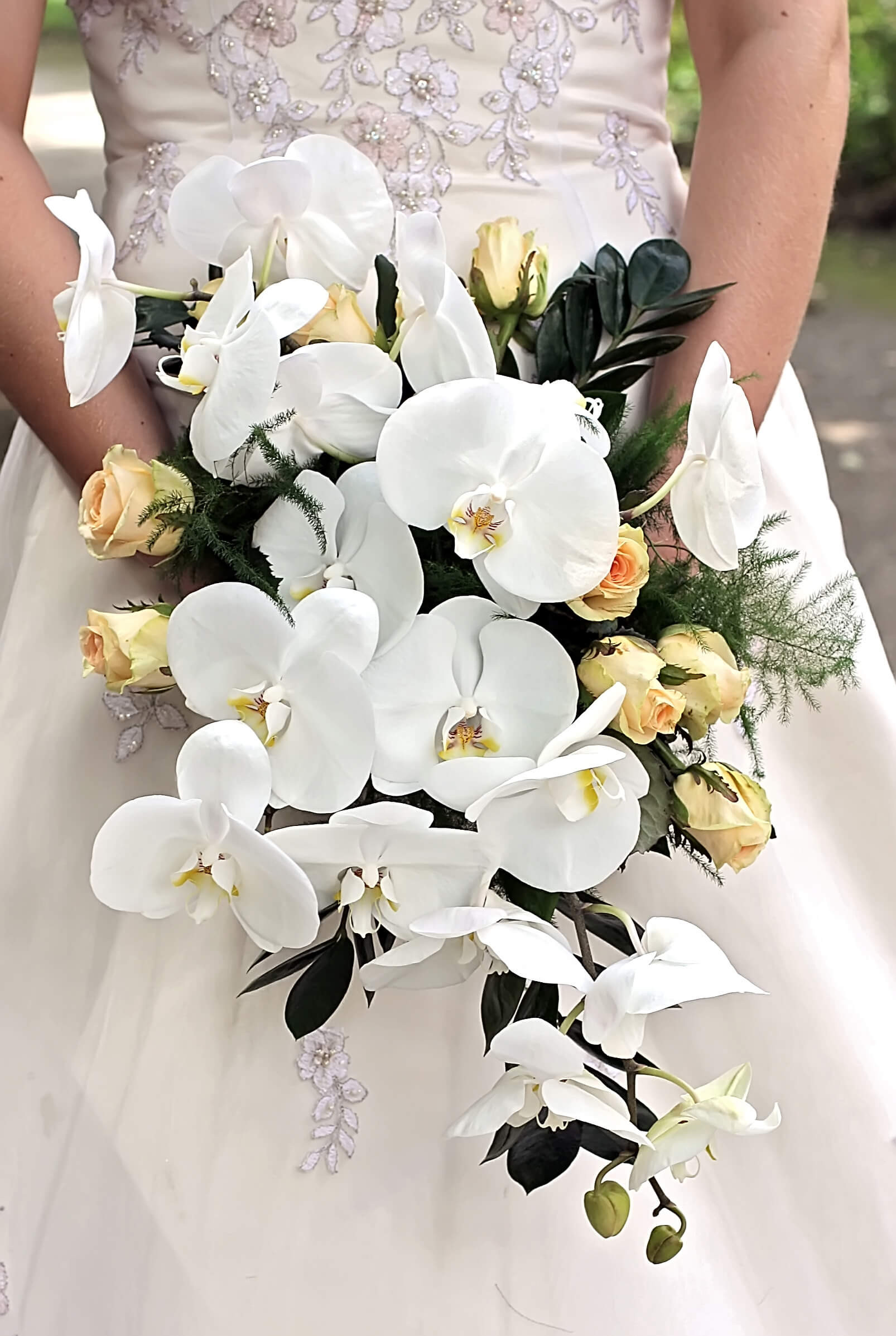 Brautstrauß Orchideen
 Brautstrauß Orchideen Bildergalerie Hochzeitsportal24