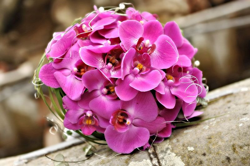 Brautstrauß Orchideen
 Brautstrauss mit Orchideen in Lila