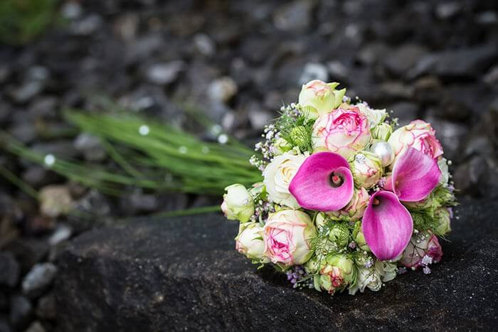 Brautstrauß Pink
 Brautstrauß Pink Grün Bildergalerie Hochzeitsportal24