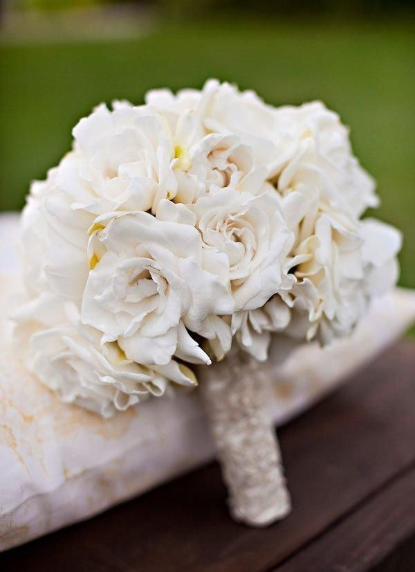 Brautstrauß Weiße Rosen
 Weiße Rosen für den Brautstrauß Rose sepid