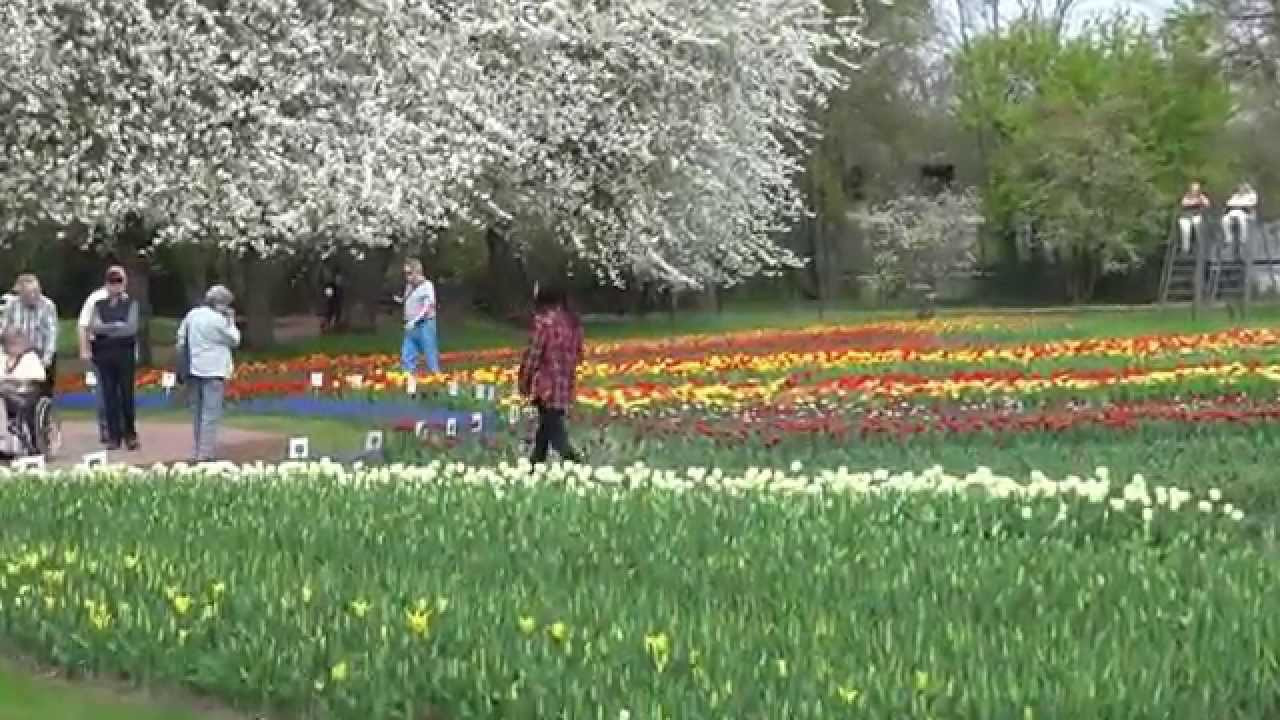 Britzer Garten Berlin
 TULIPAN Tulpenschau im Britzer Garten in Berlin am 24