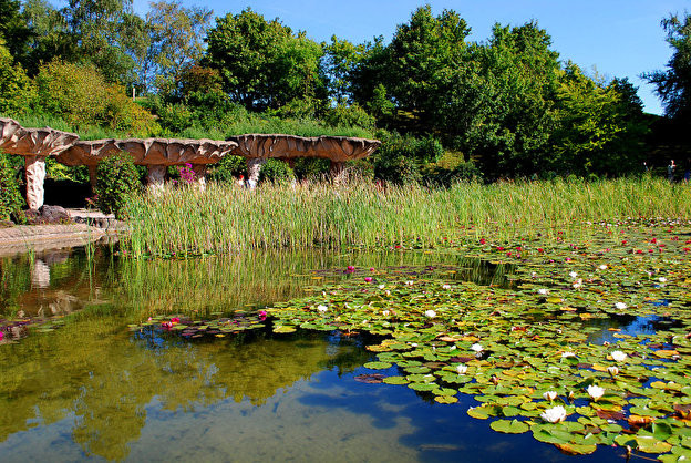 Britzer Garten Berlin
 Britzer Garten – Berlin