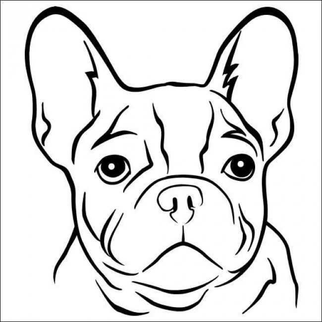 Bulldog Ausmalbilder
 Ausmalbilder Französische Bulldogge Bild – Ausmalbilder Ideen