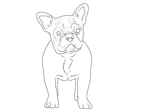 Bulldog Ausmalbilder
 Kostenlose Malvorlage Hunde Französische Bulldogge zum