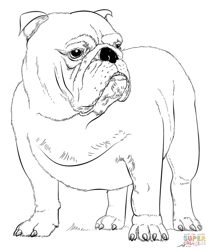 Bulldog Ausmalbilder
 Ausmalbild Englische Bulldogge